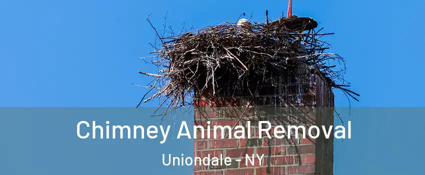 Chimney Animal Removal Uniondale - NY