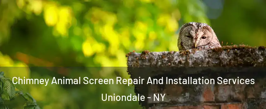  Chimney Animal Screen Repair And Installation Services Uniondale - NY