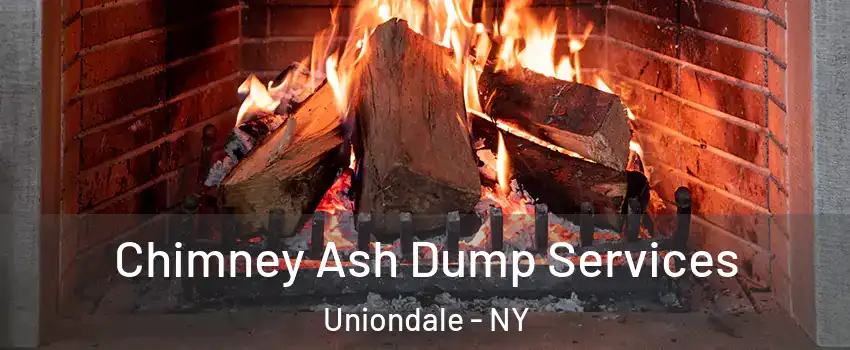  Chimney Ash Dump Services Uniondale - NY