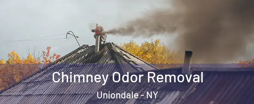  Chimney Odor Removal Uniondale - NY