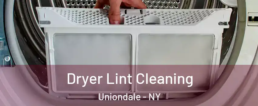  Dryer Lint Cleaning Uniondale - NY