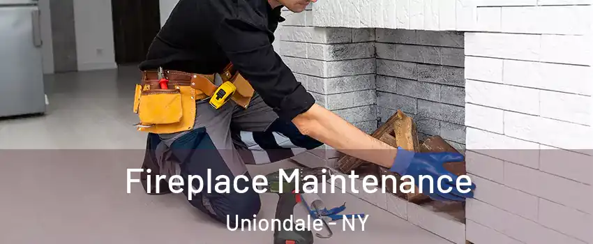  Fireplace Maintenance Uniondale - NY