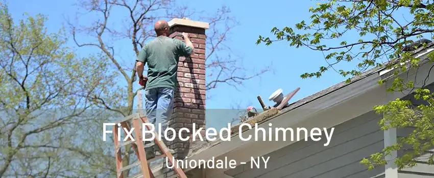  Fix Blocked Chimney Uniondale - NY