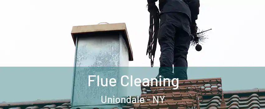  Flue Cleaning Uniondale - NY