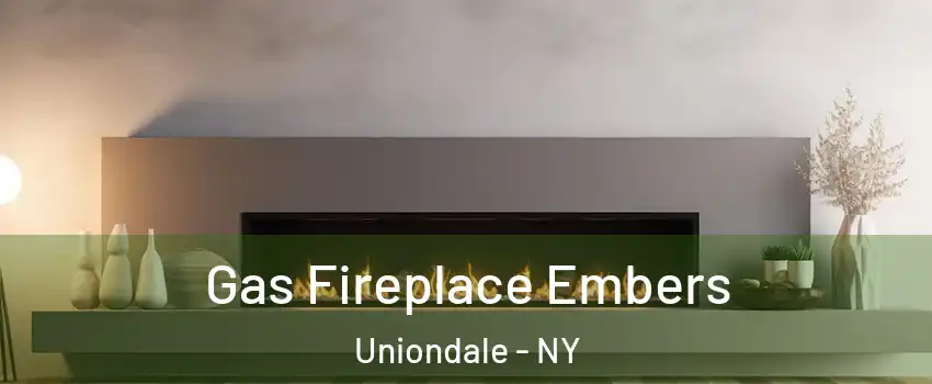 Gas Fireplace Embers Uniondale - NY