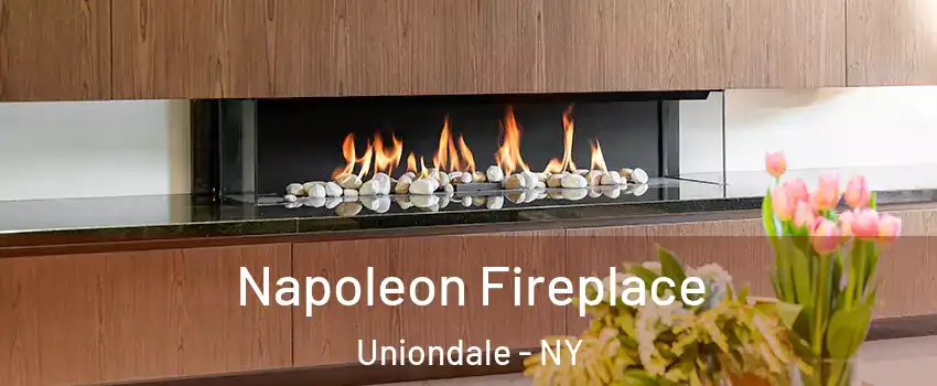  Napoleon Fireplace Uniondale - NY