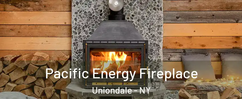  Pacific Energy Fireplace Uniondale - NY